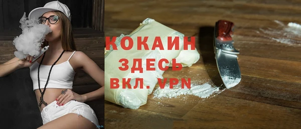 ALPHA PVP Елизово